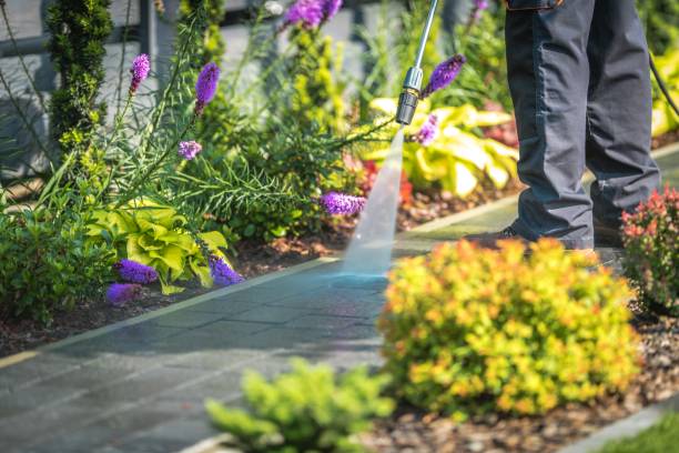 Reliable Itta Bena, MS  Pressure Washing Services Solutions